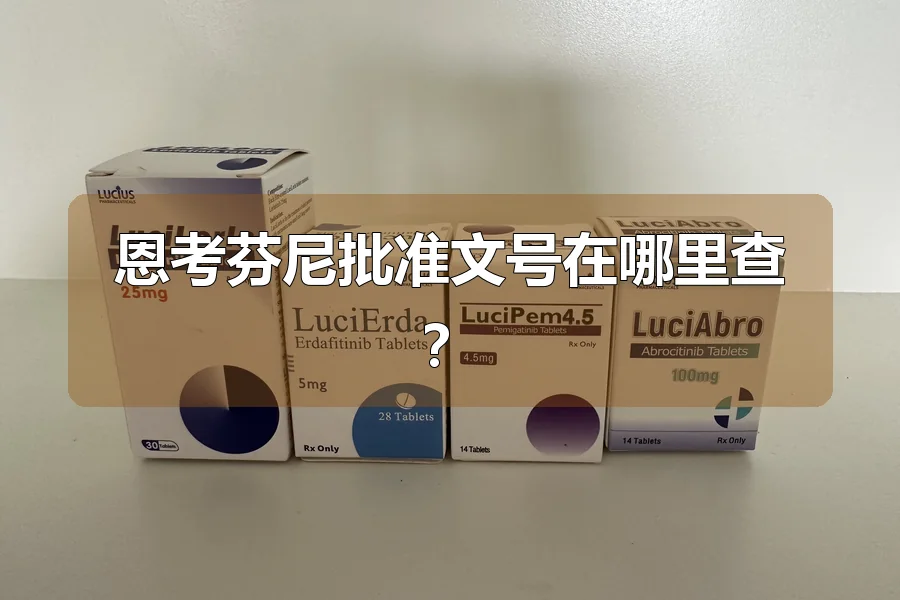 恩考芬尼批准文号在哪里查？